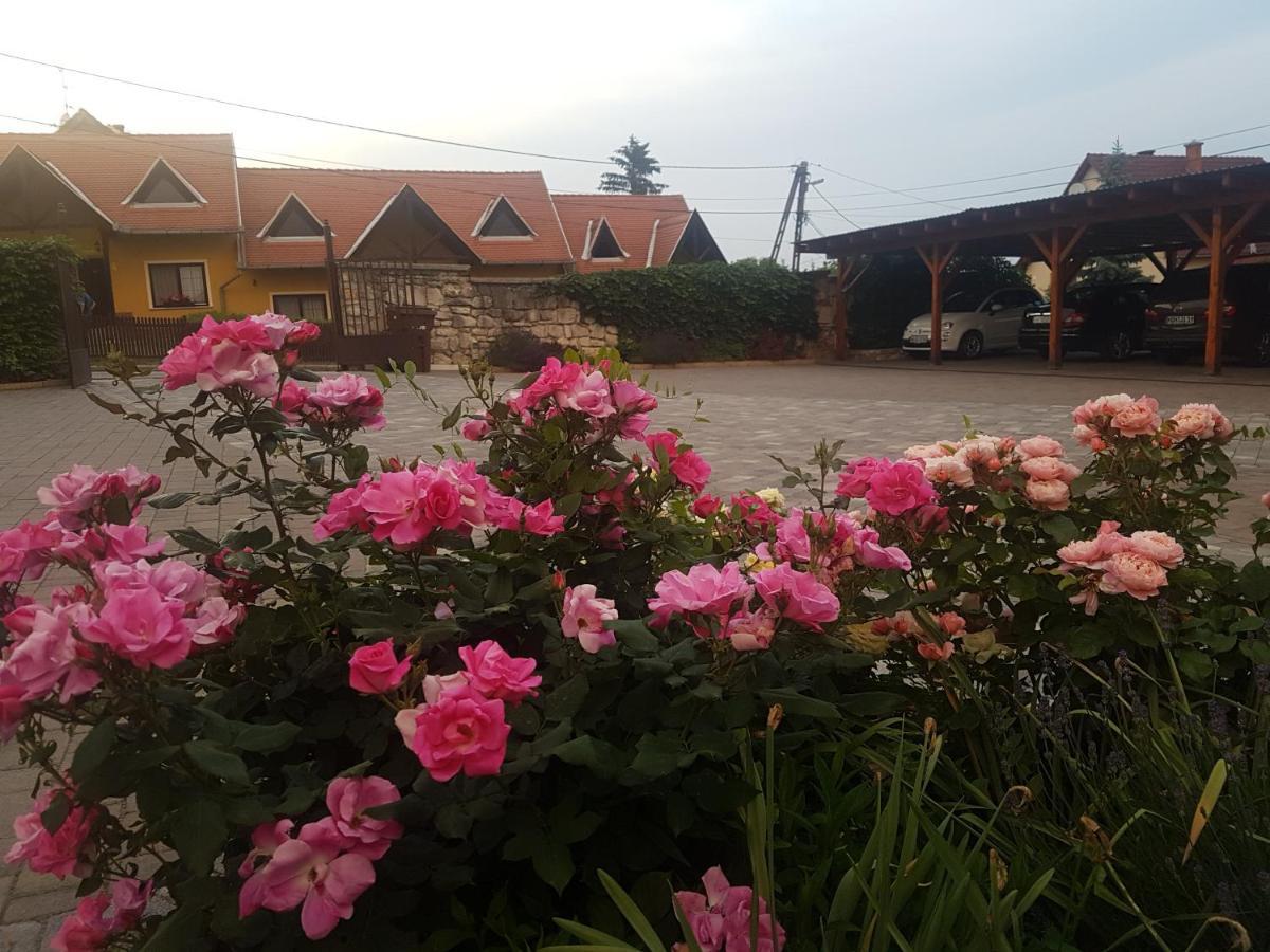 Bed and Breakfast Huber Panzio Fertőrákos Zewnętrze zdjęcie