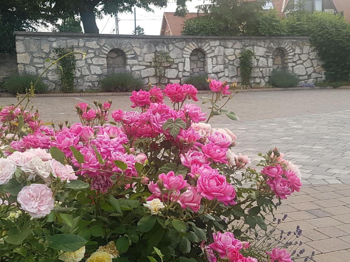 Bed and Breakfast Huber Panzio Fertőrákos Zewnętrze zdjęcie